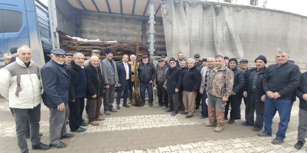 Yenipazar'da Üreticilere Fidan Dağıtıldı