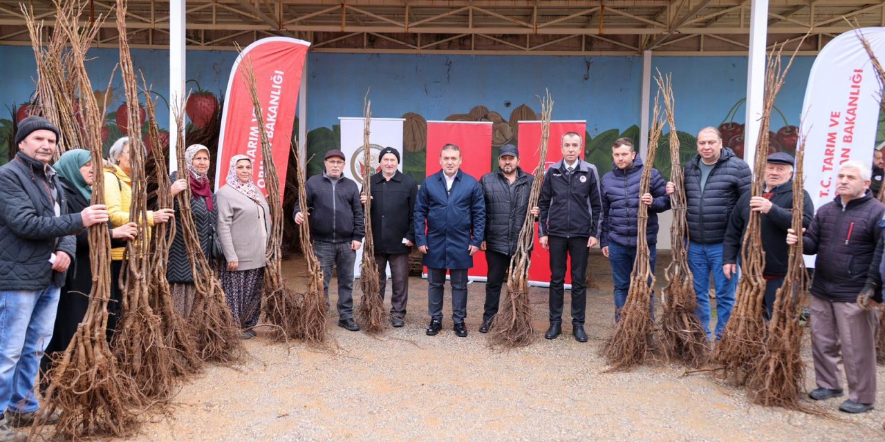27 bin adet fidan dağıtıldı