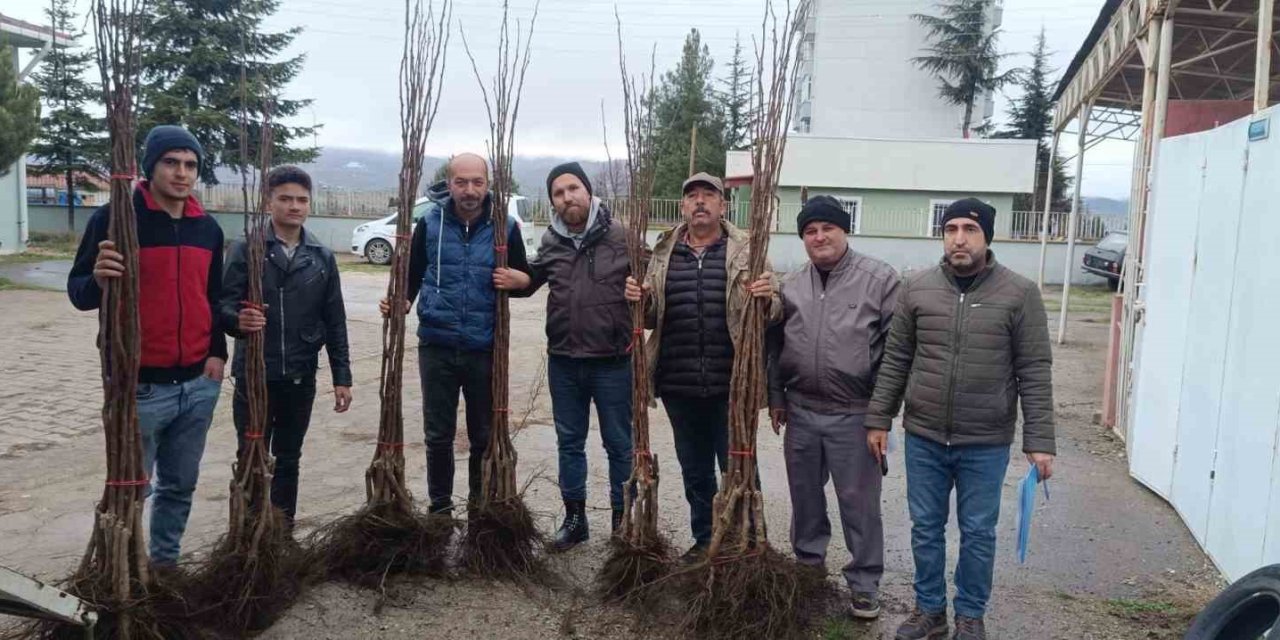 "Meyveciliği Geliştirme" Projesi Hayata Geçirildi