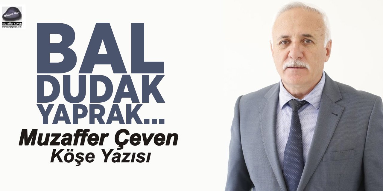 DAL BUDAK YAPRAK…