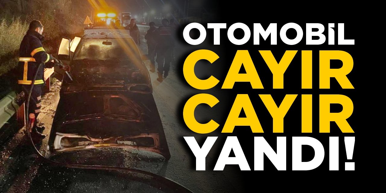 Otomobil cayır cayır yandı