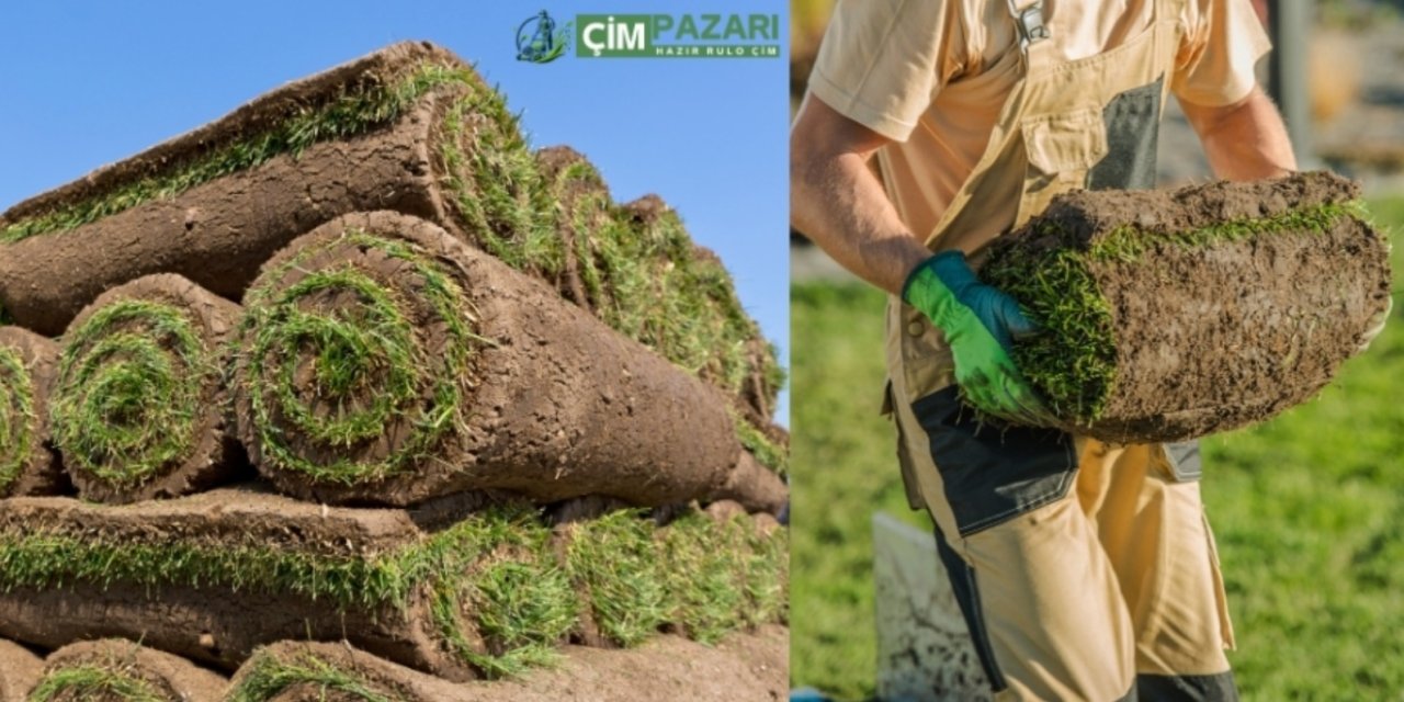 Hazır Rulo Çim Nedir? Avantajları Nelerdir? Fiyatları Ne Kadar?