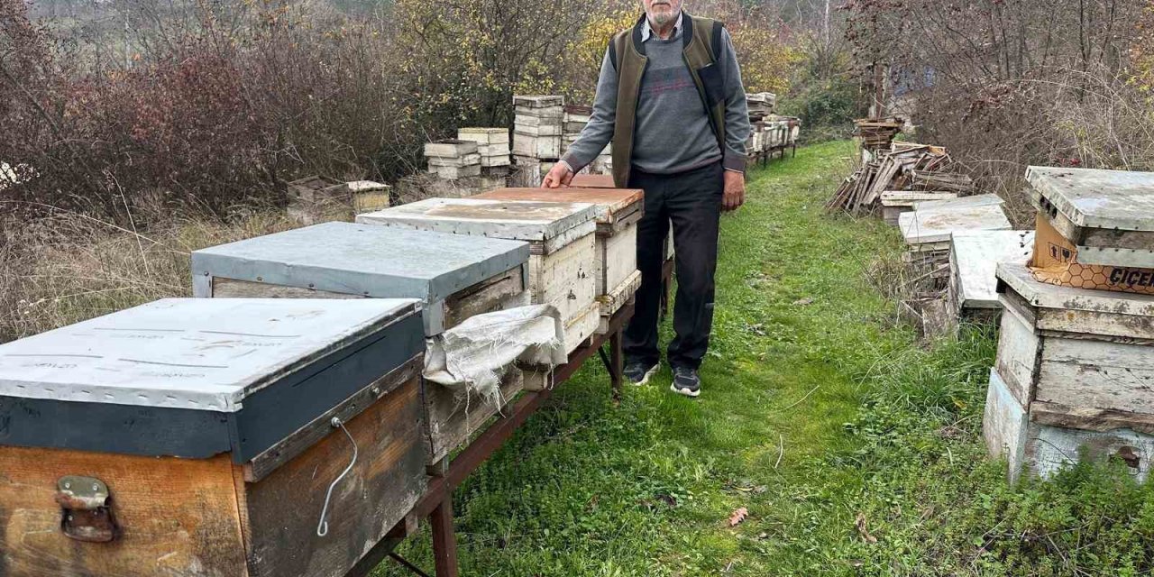 Zirai İlaç Yüzünden Milyonlarca Arısı Kovana Dönemeden Öldü