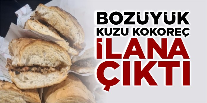 Bozüyük Kuzu kokoreç ilana çıktı