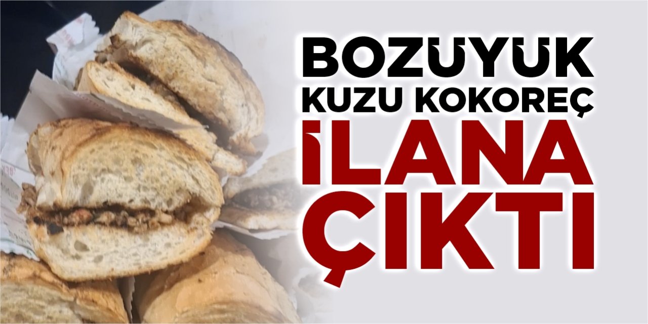 Bozüyük Kuzu kokoreç ilana çıktı