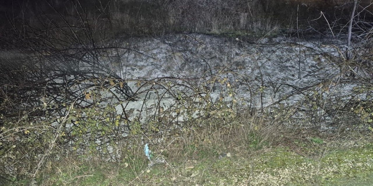 Küçük Çaplı Ot Yangını Erken Müdahaleyle Söndürüldü