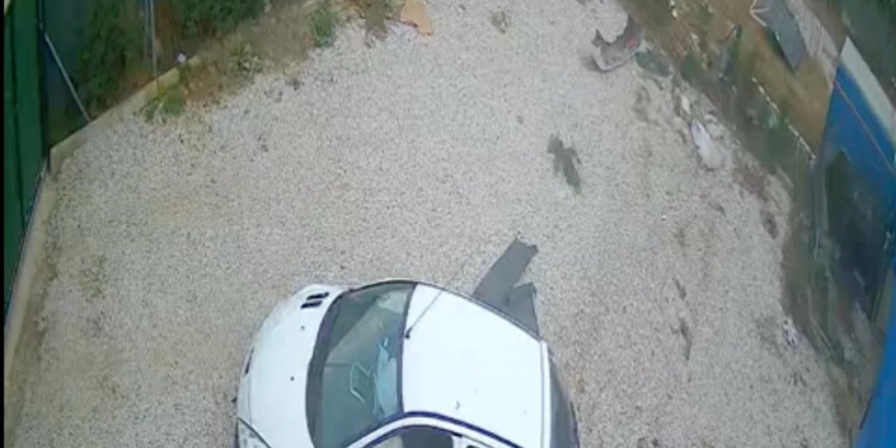 Direksiyon Hakimiyetini Kaybeden Sürücü Ölümden Döndü