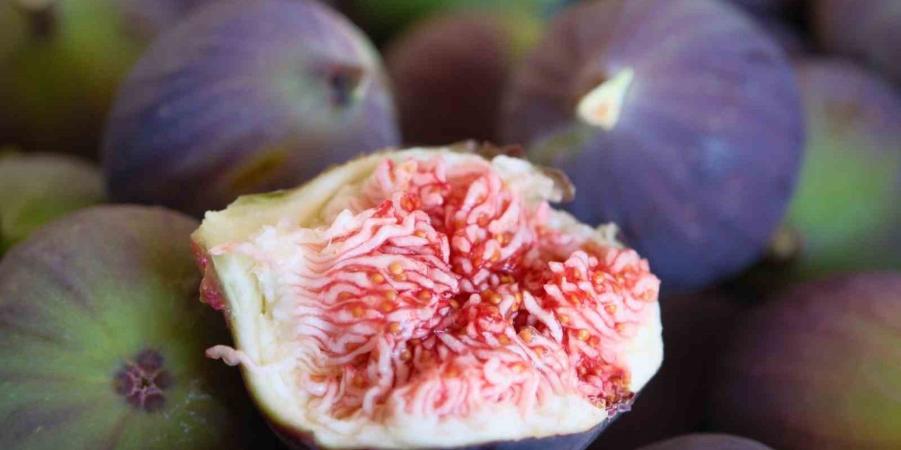 Kraliçe İncirinin İhracatında Kilogram Başına 1 Dolarlık Değer Artışı Oldu