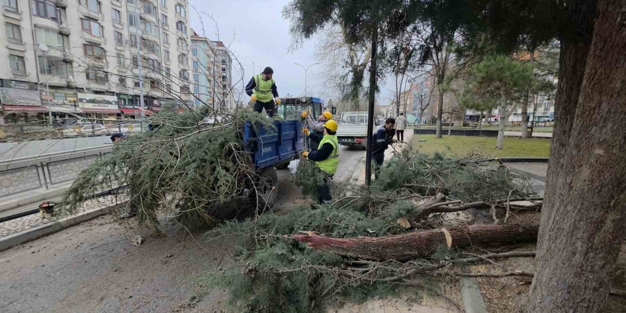 Fırtına Ve Aşırı Rüzgâr Ağaçları Devirdi