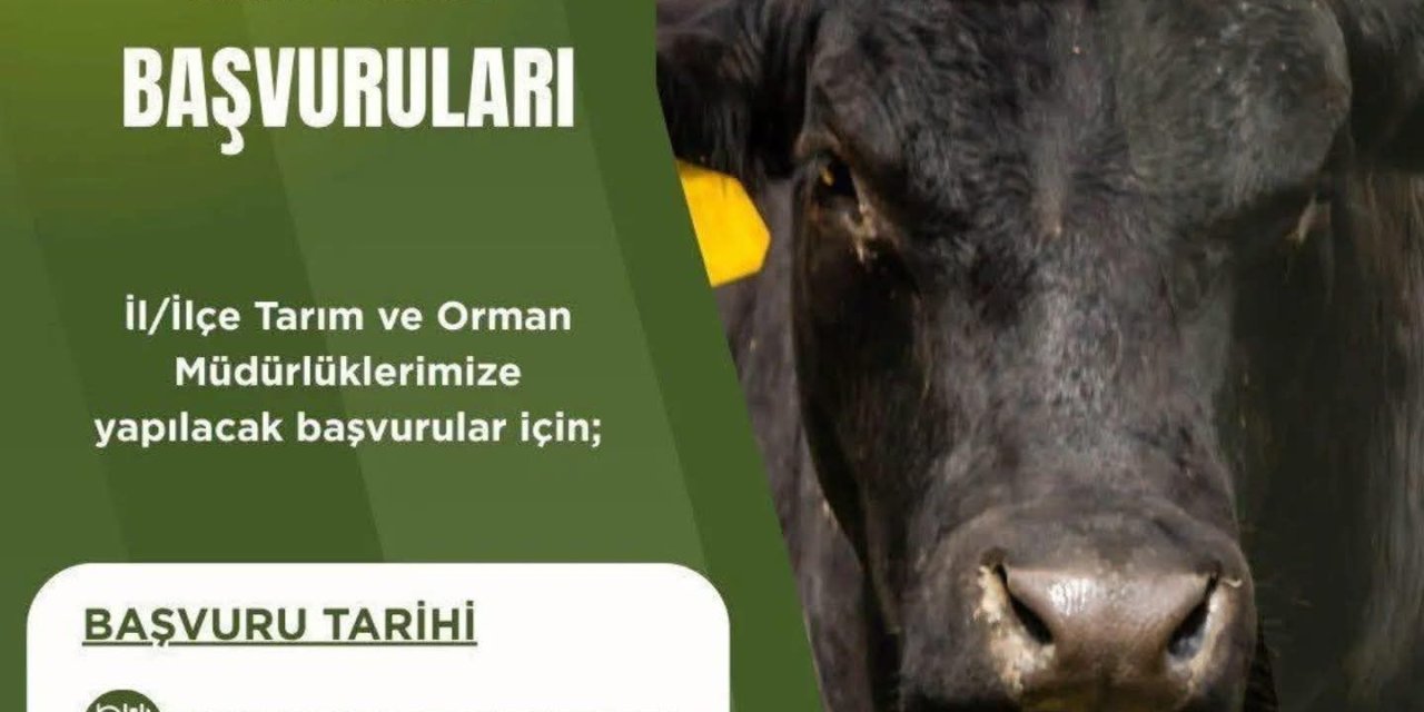 Besilik Hayvan İthalatı Başvuru Tarihleri Ertelendi