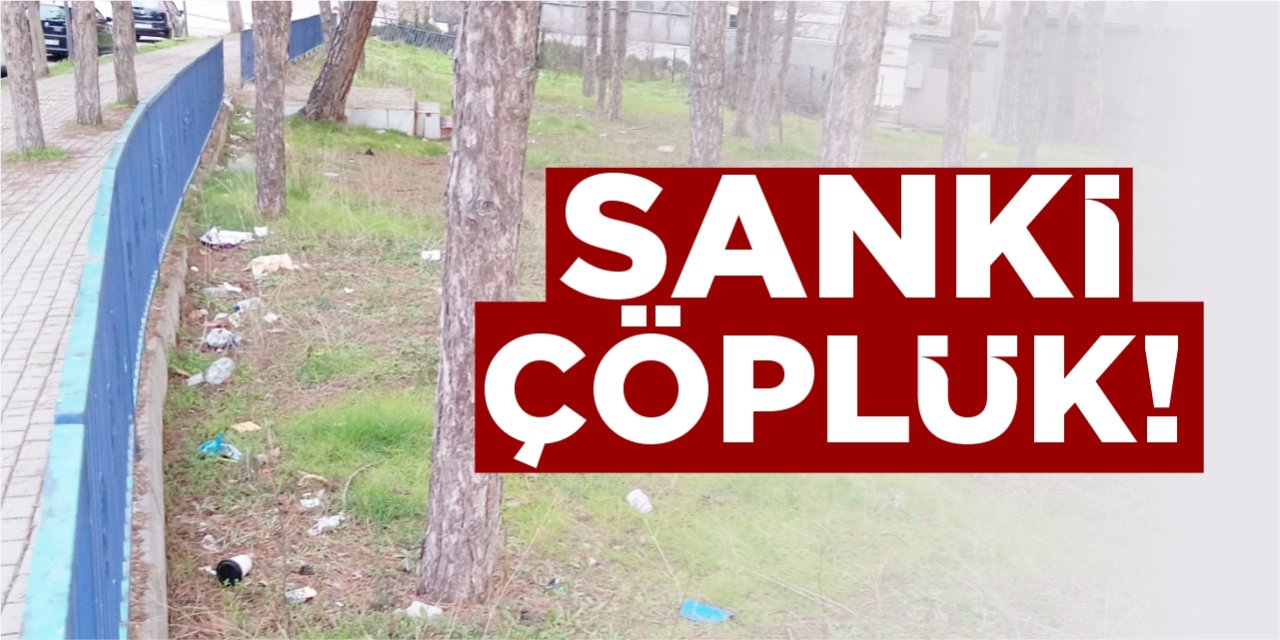 Sanki çöplük!