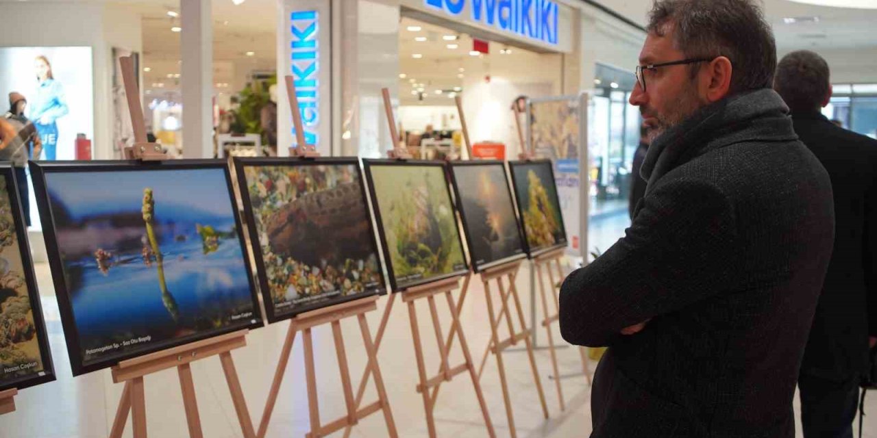 Sapanca Gölü Fotoğrafları Gazze İçin Umuda Dönüştü