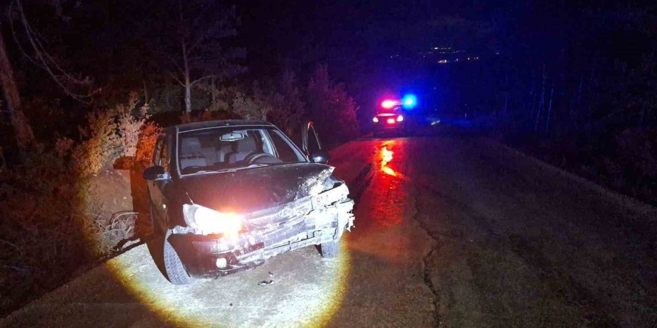 Kontrolden Çıkan Otomobil Ağaca Çarptı: 1 Yaralı