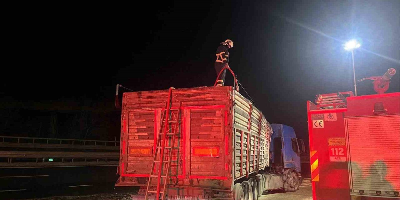 Seyir Halinde Talaş Yüklü Tır Dorsesi Alev Aldı