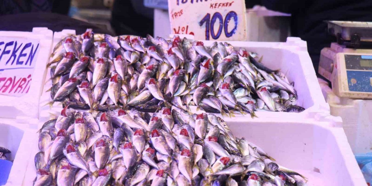 Tezgahlar İstavritle Doldu