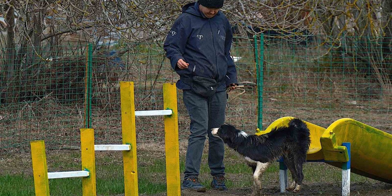 Kangal Ve Akbaştan Sonra Çobanlara Hareketli Ve Heyecanlı Yeni Bir Yardımcı Geliyor