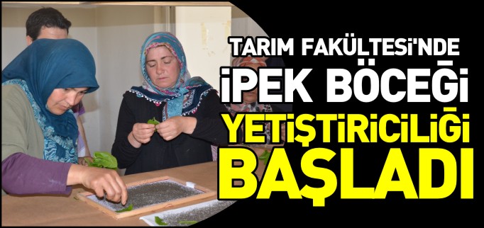 ÜNİVERSİTEMİZDE İPEK BÖCEĞİ YETİŞTİRİCİLİĞİ BAŞLADI