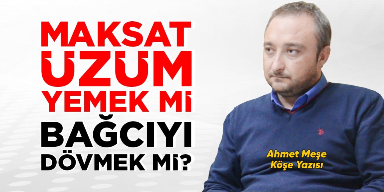 Maksat üzüm yemek mi, bağcıyı dövmek mi?