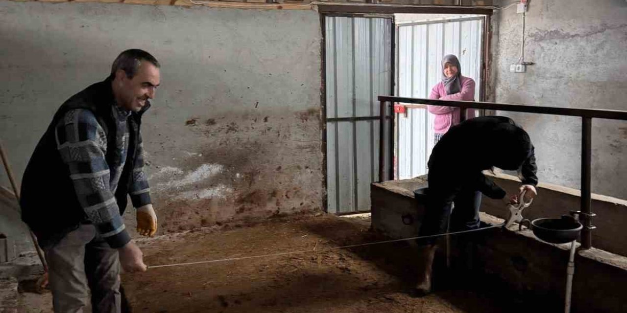 Bilecik’te Büyükbaş Hayvancılık İşletmelerinde Kapasite Kontrolleri