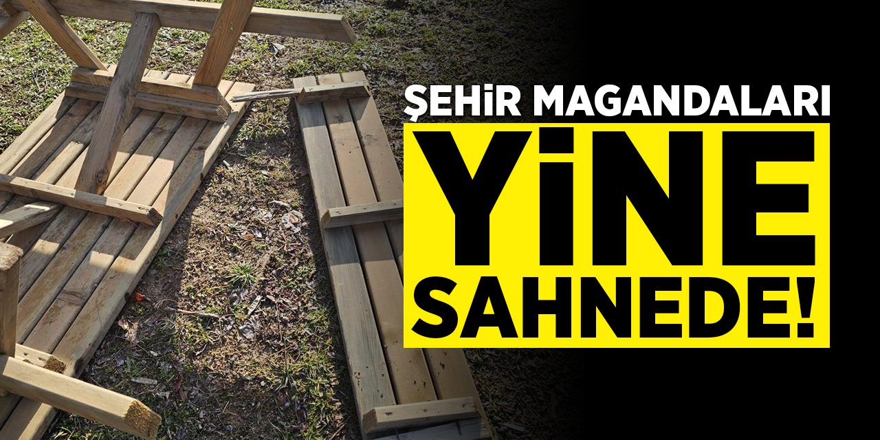 Şehir magandaları yine sahnede!