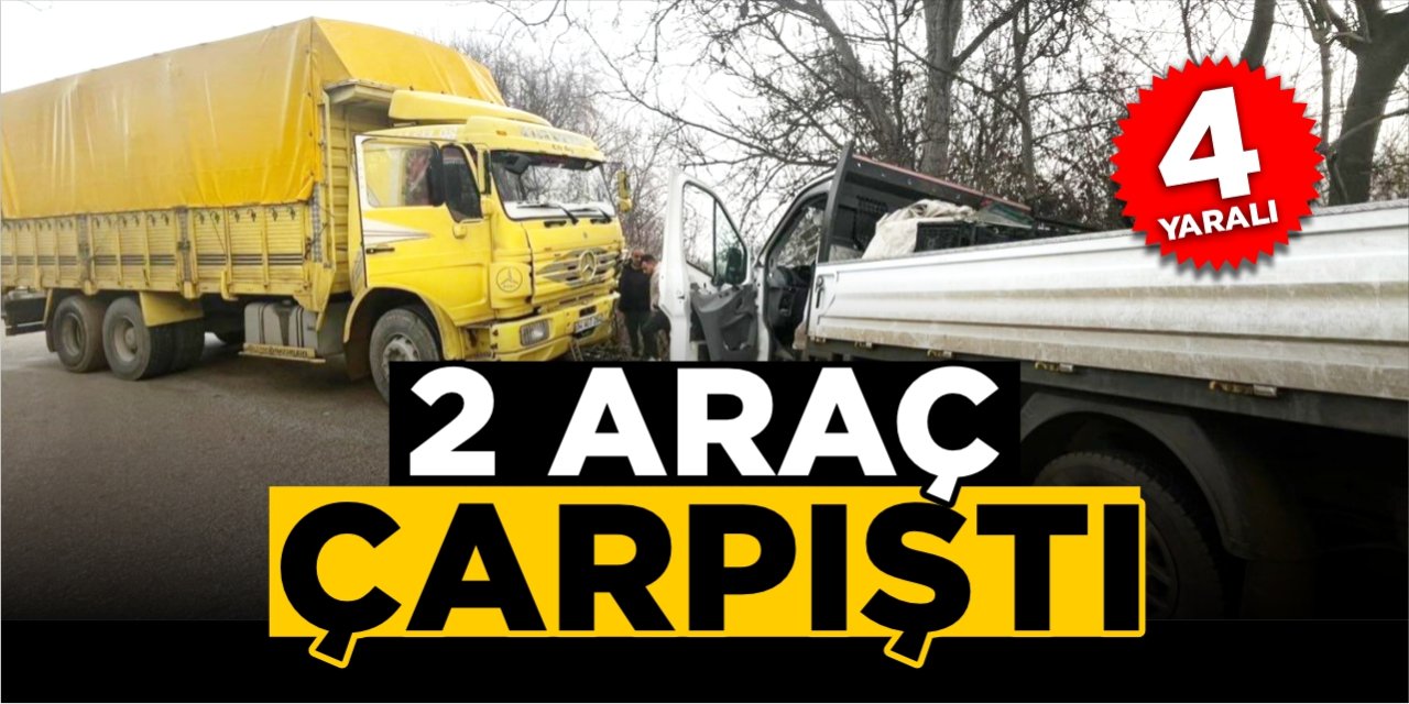 Islak yol kazaya neden oldu