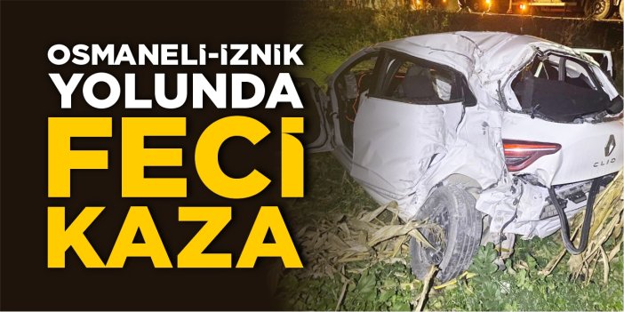 Osmaneli-İznik yolunda feci kaza