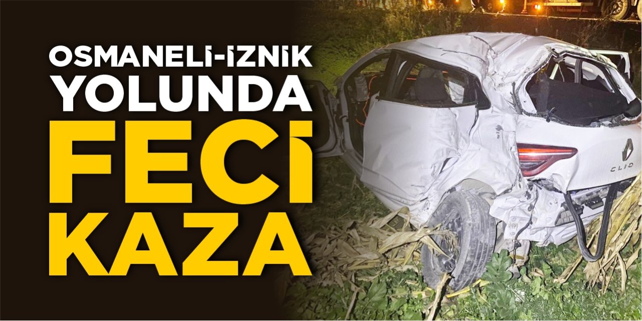 Osmaneli-İznik yolunda feci kaza