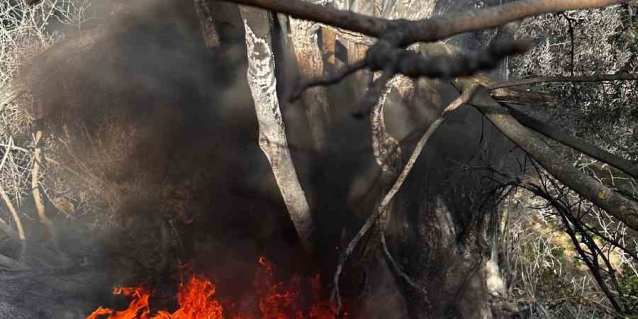 Çıkan Çalı Yangını Büyümeden Söndürüldü