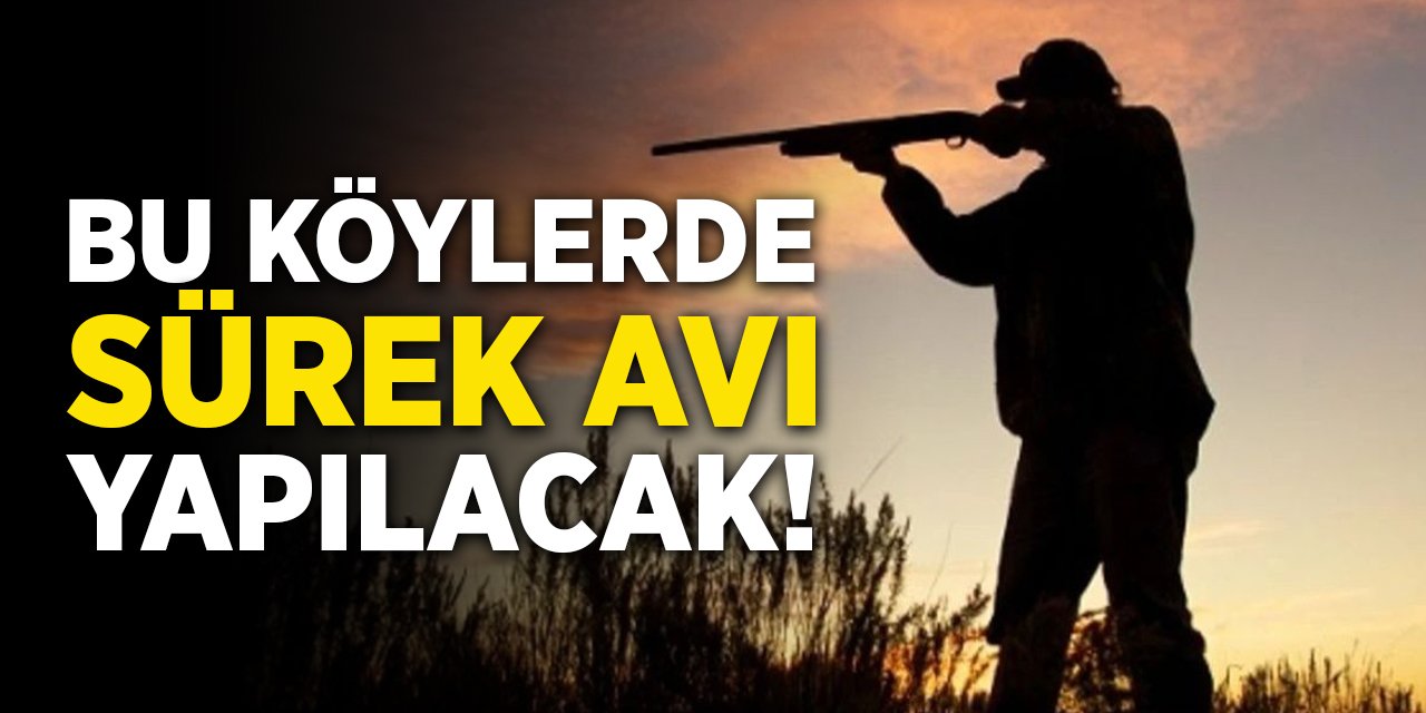 Bu köylerde sürek avı yapılacak!