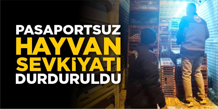 Pasaportsuz hayvan sevkiyatı durduruldu