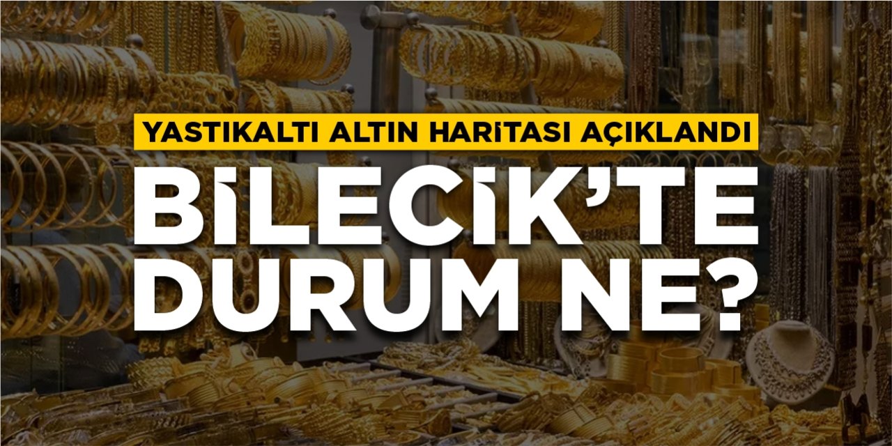 Yastıkaltı altın haritası açıklandı: Bilecik’te durum ne?