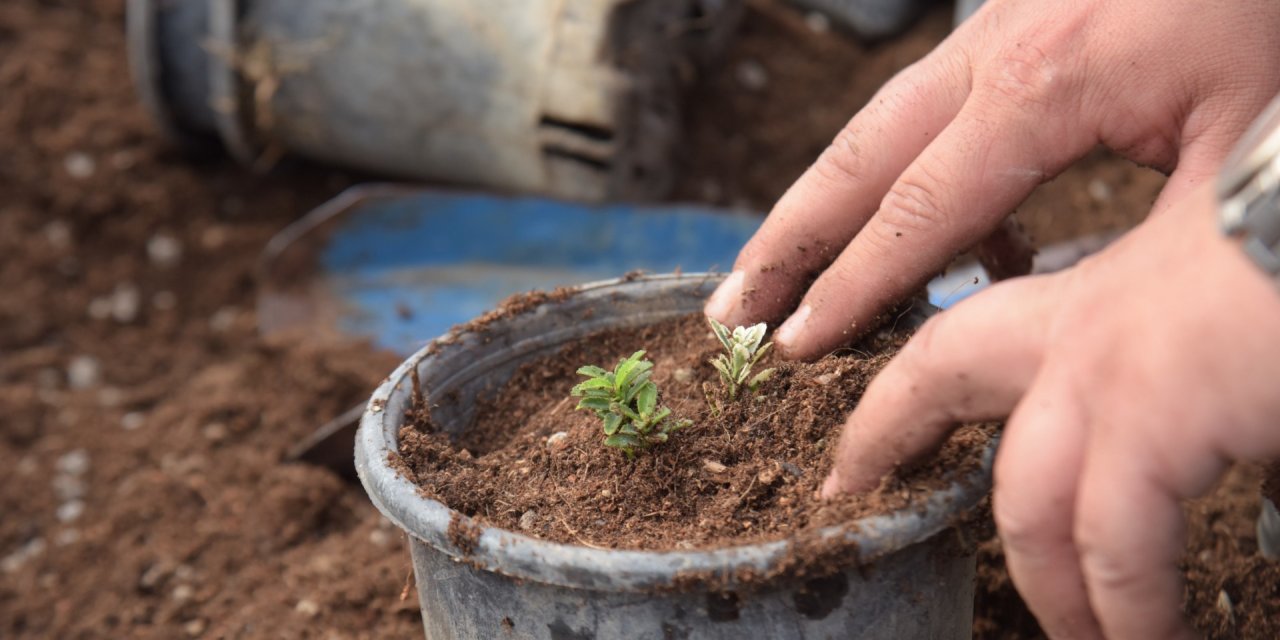 Belediyeden Bahara Hazırlık Çalışması