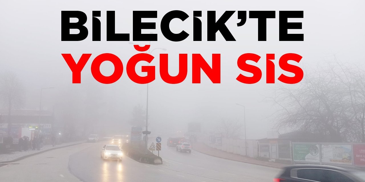 Bilecik'te yoğun sis