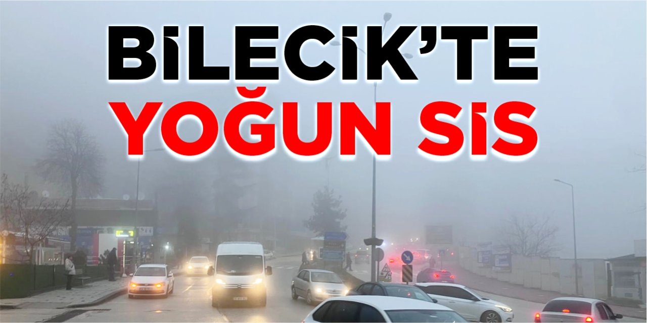 Bilecik'te yoğun sis