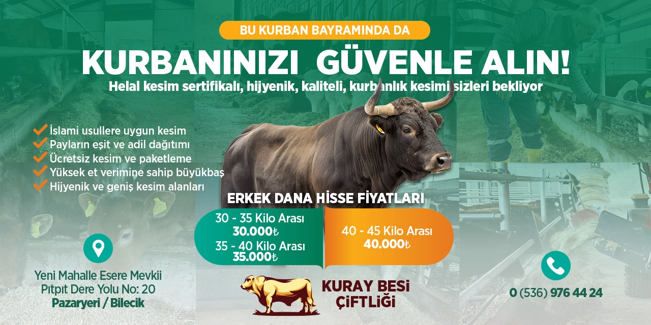 PAZARYERİ'NDE GÜVENİLİR KURBAN HİZMETİ: KURAY BESİ ÇİFTLİĞİ