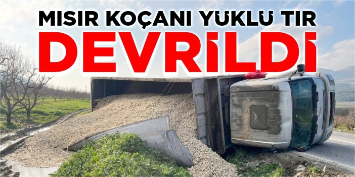 Mısır koçanı yüklü tır devrildi