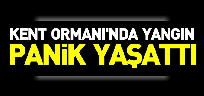 KENT ORMANI’NDA YANGIN ÇIKTI