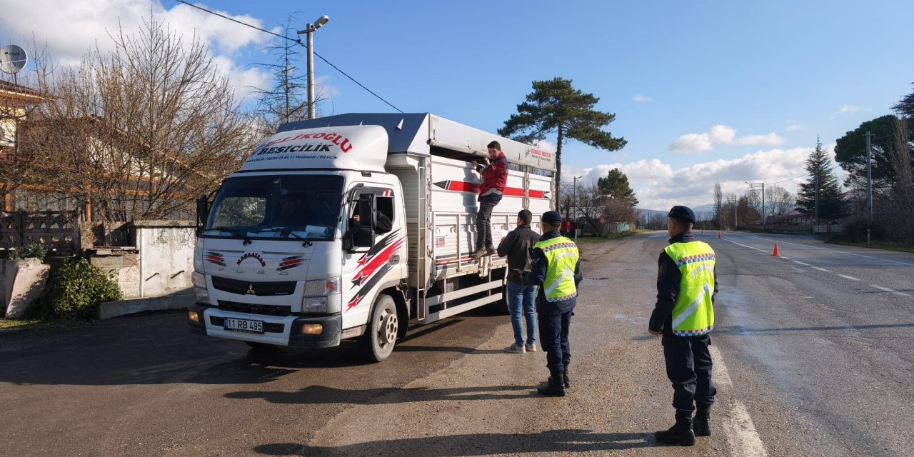Gölpazarı'nda Sıkı Denetim!