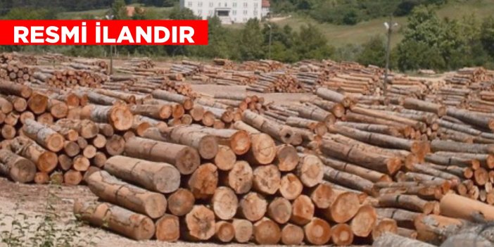 ORMAN EMVALİ İSTİFLEME HİZMETİ ALINACAKTIR