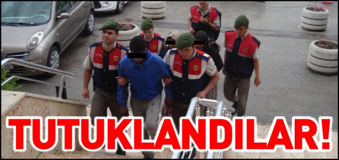HIRSIZLAR TUTUKLANDI