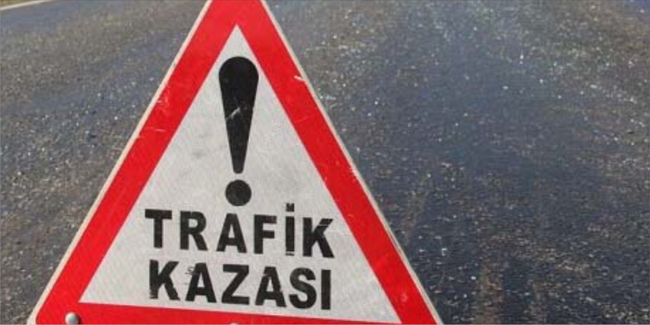 Kontrolden çıkan otomobil takla attı