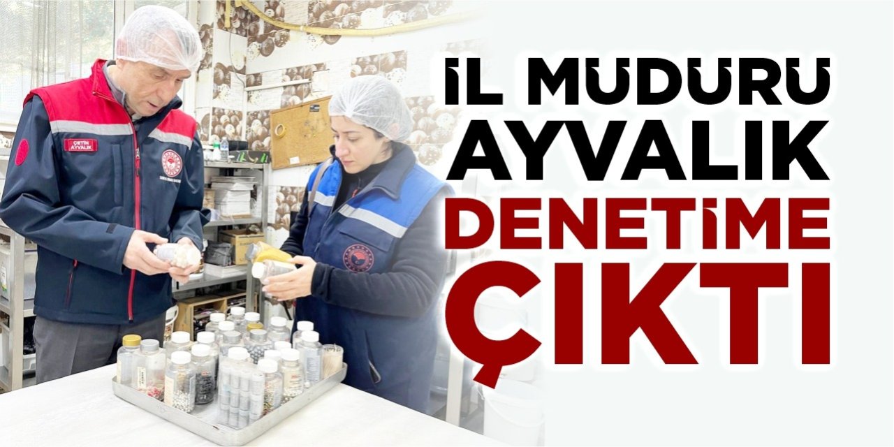 İl müdürü denetime çıktı