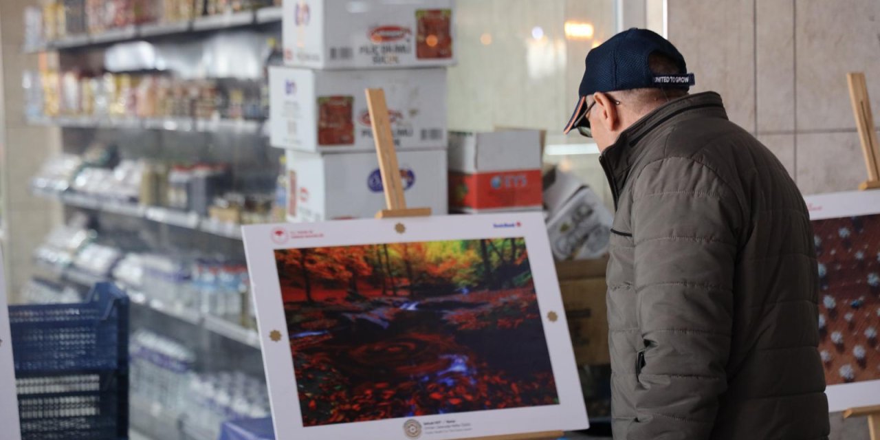Bozüyük’te “Tarım, Orman ve İnsan” Fotoğraf Sergisi