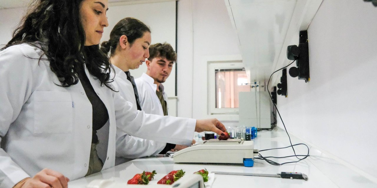BŞEÜ Analiz Laboratuvarı, ziraat alanında akademik çalışmalara güç katıyor