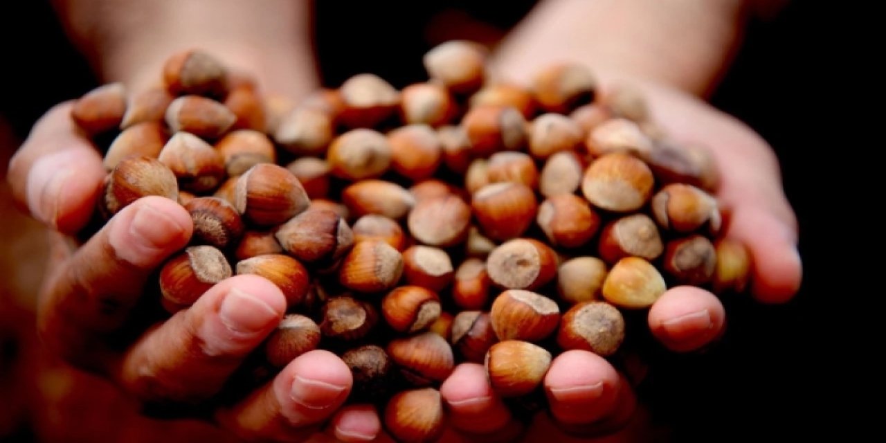 2026-2027 tahmini fındık rekoltesi açıklandı