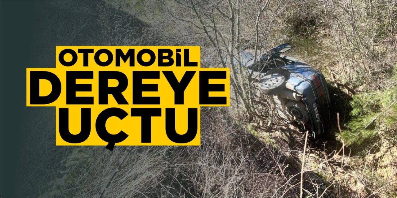 Bilecik'te otomobil dereye uçtu