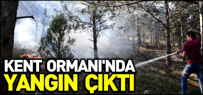 KENT ORMANI’NDA YANGIN ÇIKTI