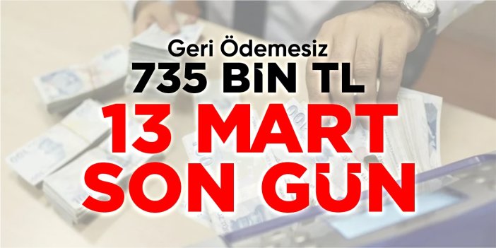 Geri ödemesiz 735 bin TL! Başvurular için son 72 saat