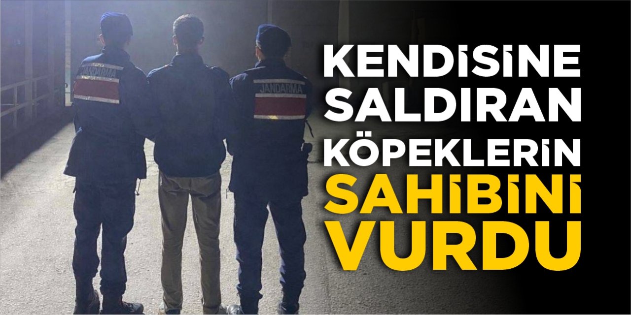 Kendisine saldıran köpeklerin sahibini vurdu!
