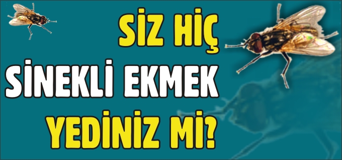 SİZ HİÇ SİNEKLİ EKMEK YEDİNİZ Mİ?